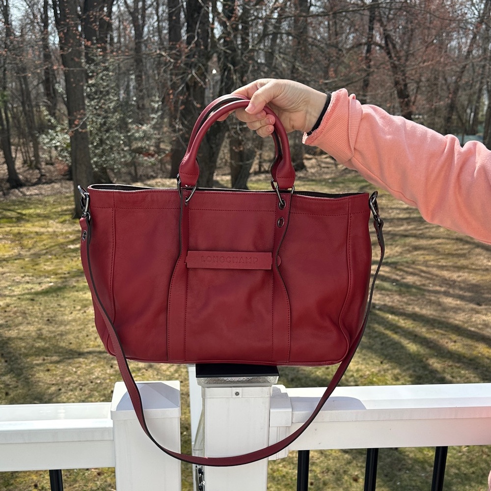Longchamp 3D handbag